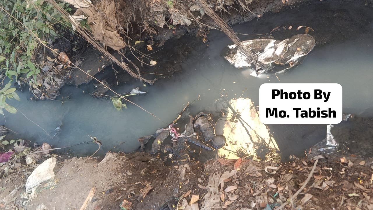 रॉयल बेकरी परिसर में नवजात शिशु का शव मिलने से सनसनी, पुलिस जांच में जुटी